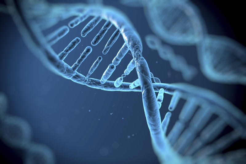 Microsoft makes progress on fast DNA data storage