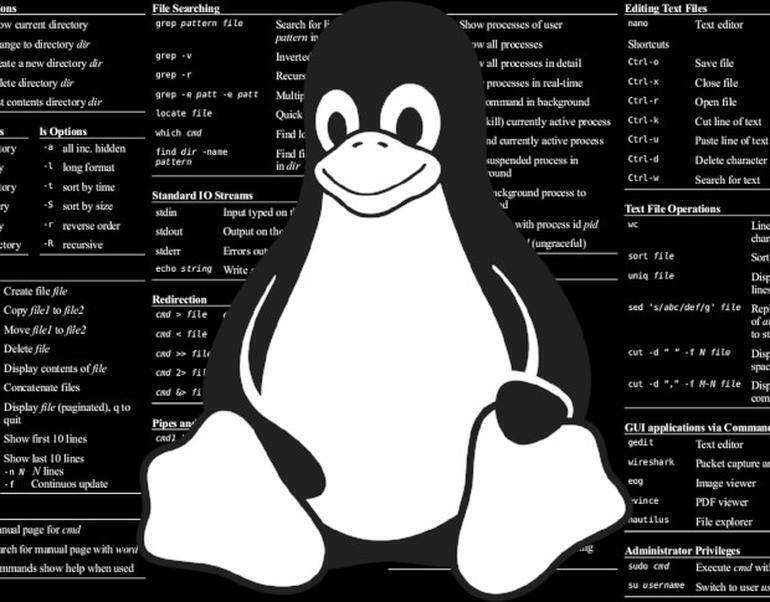 Linux 101: How to create a compressed archive of a folder from the CLI with zip