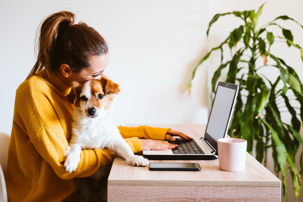 20 Best Jobs Where You Can Work From Home