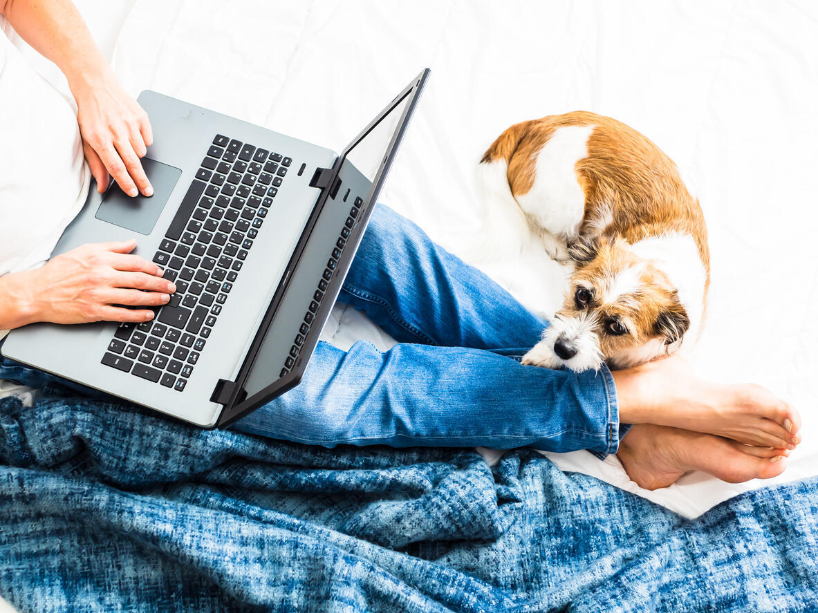 Man typing connected  machine  with dog