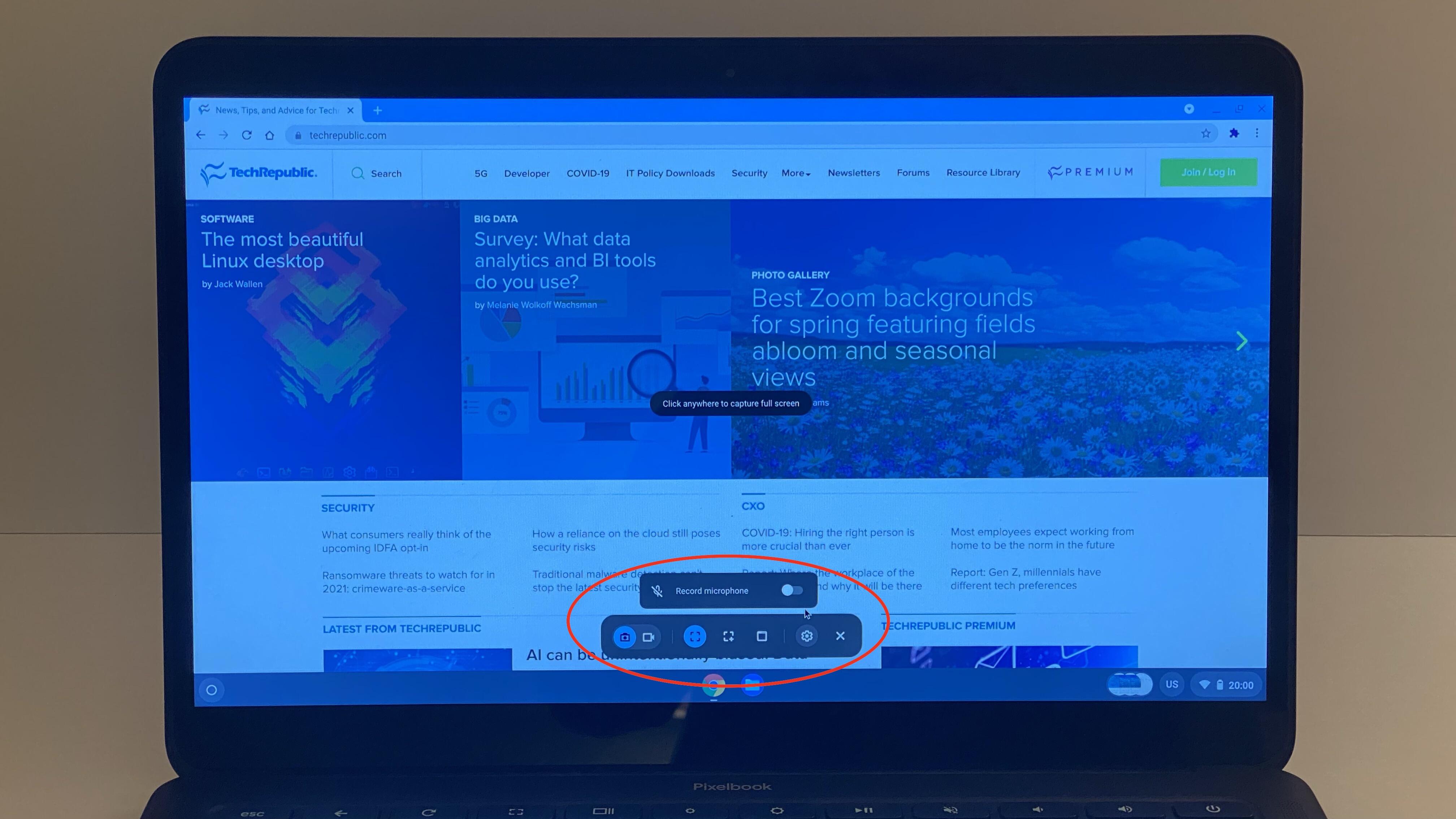 Screenshot of Chromebook with Screen Capture options displayed and circled.