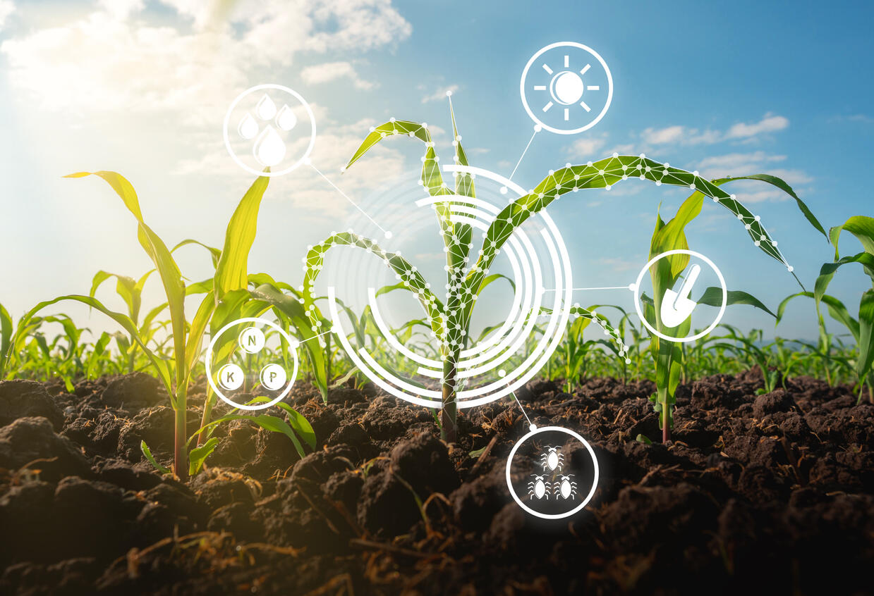 How AI innovation is improving agricultural efficiency