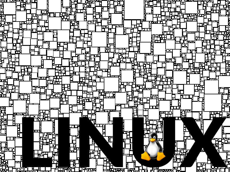 Linux 101: What are environment variables?