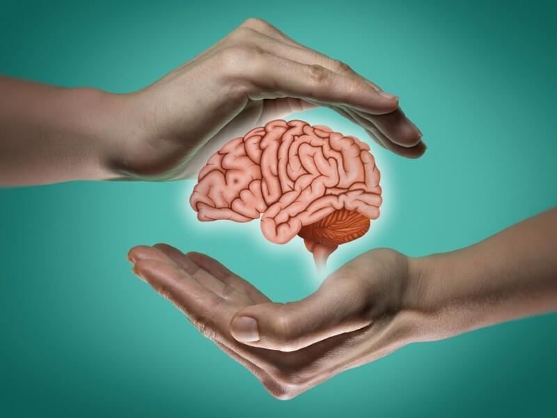 A brain protected by hands