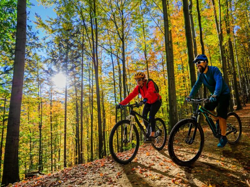A couple riding their bikes on a wooded trail