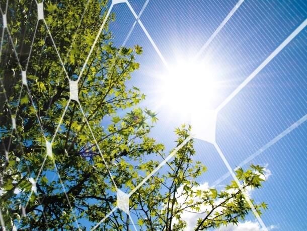 04solar-green-tree-sun-energy.jpg