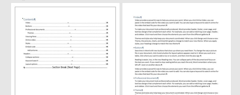 The section break allows you to display a page border on only the table of contents page.