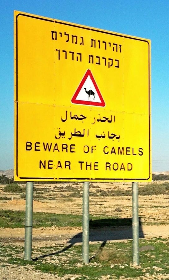 37-camel-sign.jpg