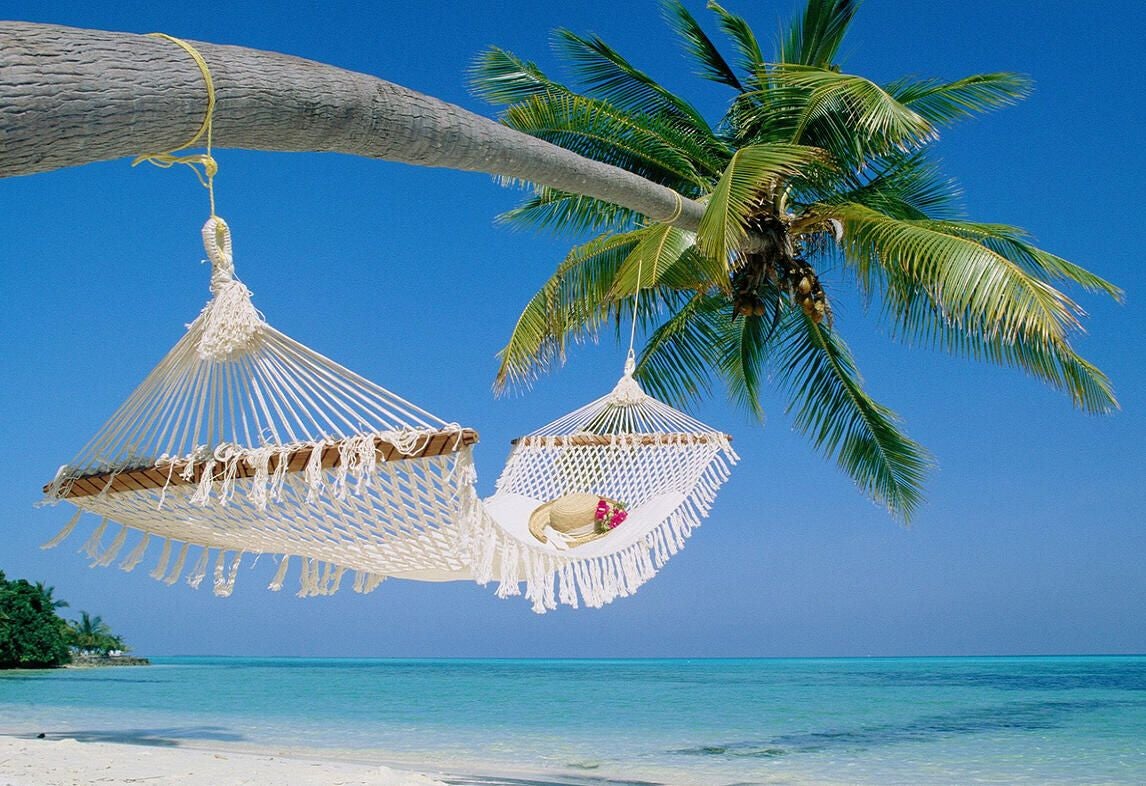 2_travel-business-hammock-beach.jpg
