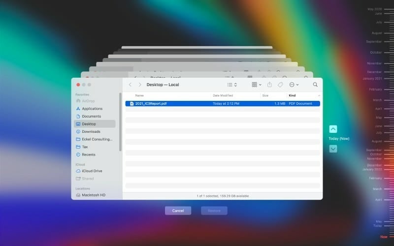 Time Machine provides the ability to essentially go back in time and view snapshots of the state of your Mac's hard disk, thereby enabling individual file recovery.