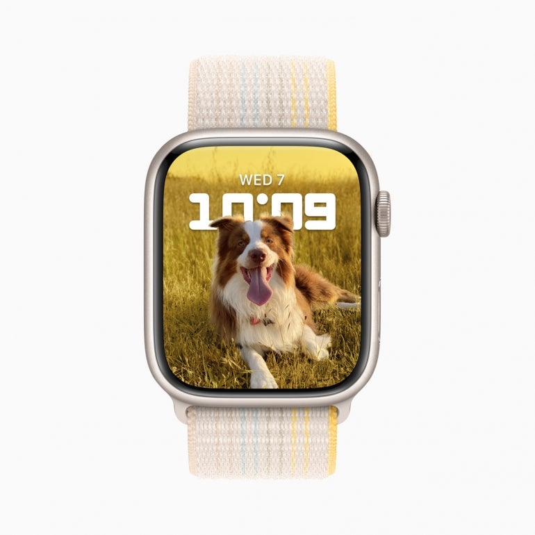 Apple Watch face showing a picture of a dog with depth effect added.
