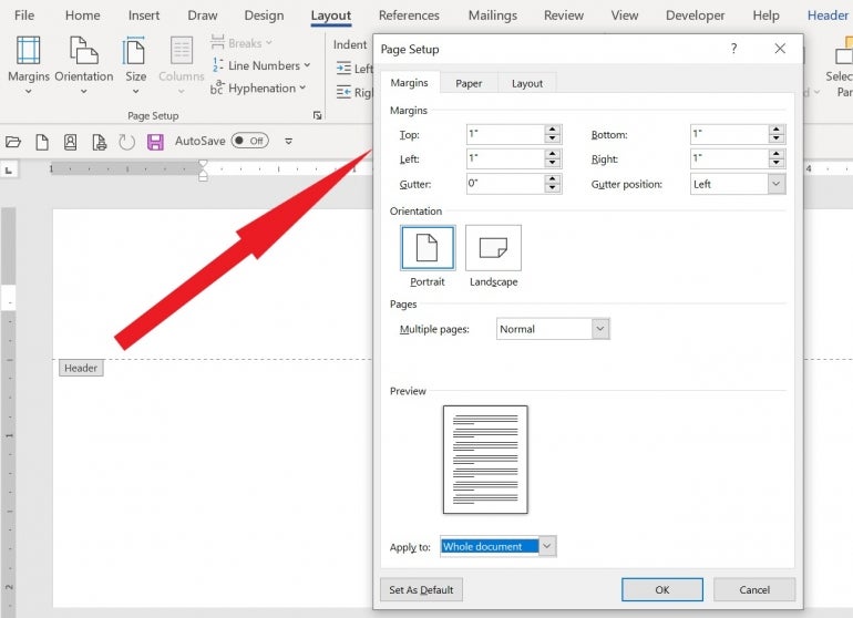 Page Setup dialog box in Microsoft Word with an arrow pointed toward the Margins section