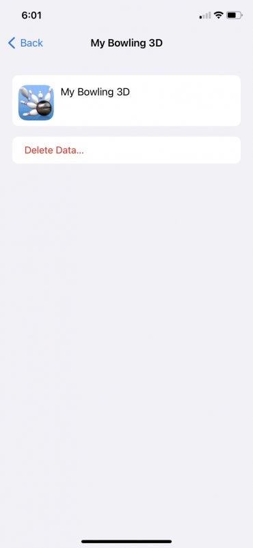iPhone delete data screen.