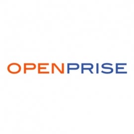 Openrise logo.