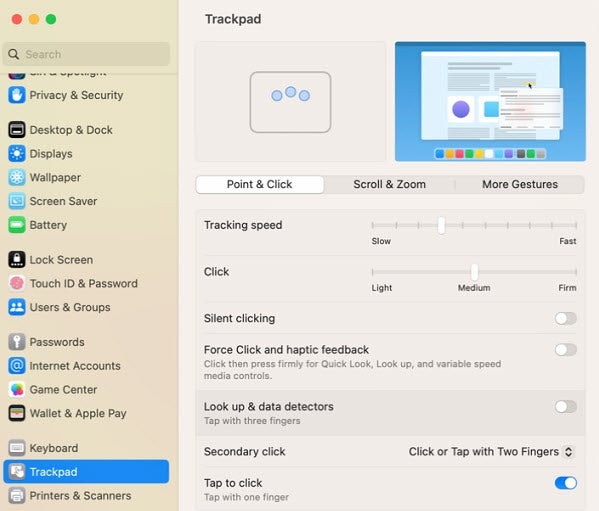 Trackpad settings section in the Systems Settings.