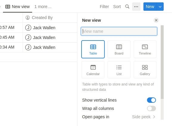 The new view drop-down also includes a few simple options.