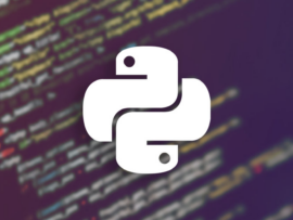 The python logo in front of a computer screen.