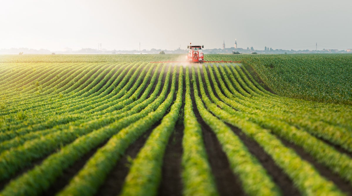 IoT and edge: Agritech companies to watch