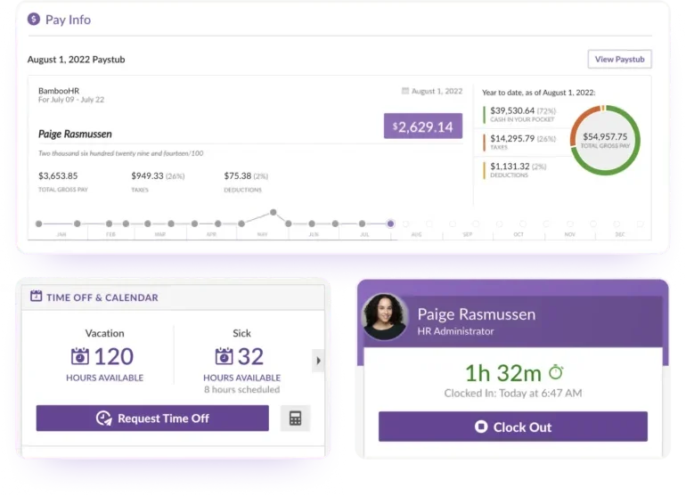 Image showing BambooHR payroll dashboard.