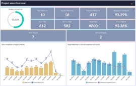 Zoho Projects analytics dashboard