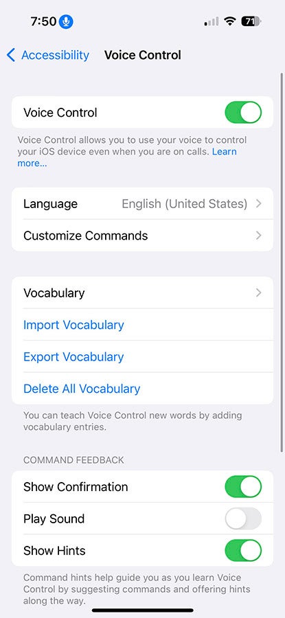 Voice Control settings of an iPhone.