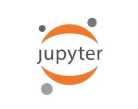 The Jupyter Notebook logo.