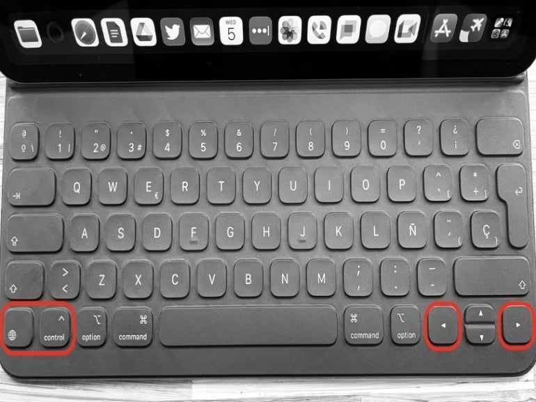 An iPad keyboard with the globe, control and left and right directional keys on highlight.